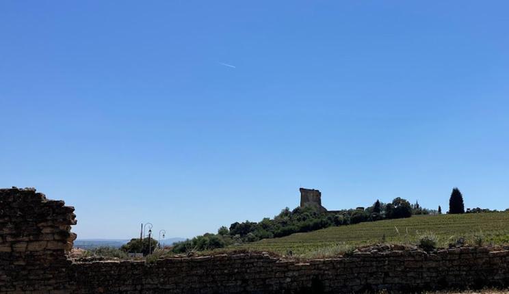 Bienvenue à la Ahron's home Châteauneuf-du-Pape Extérieur photo